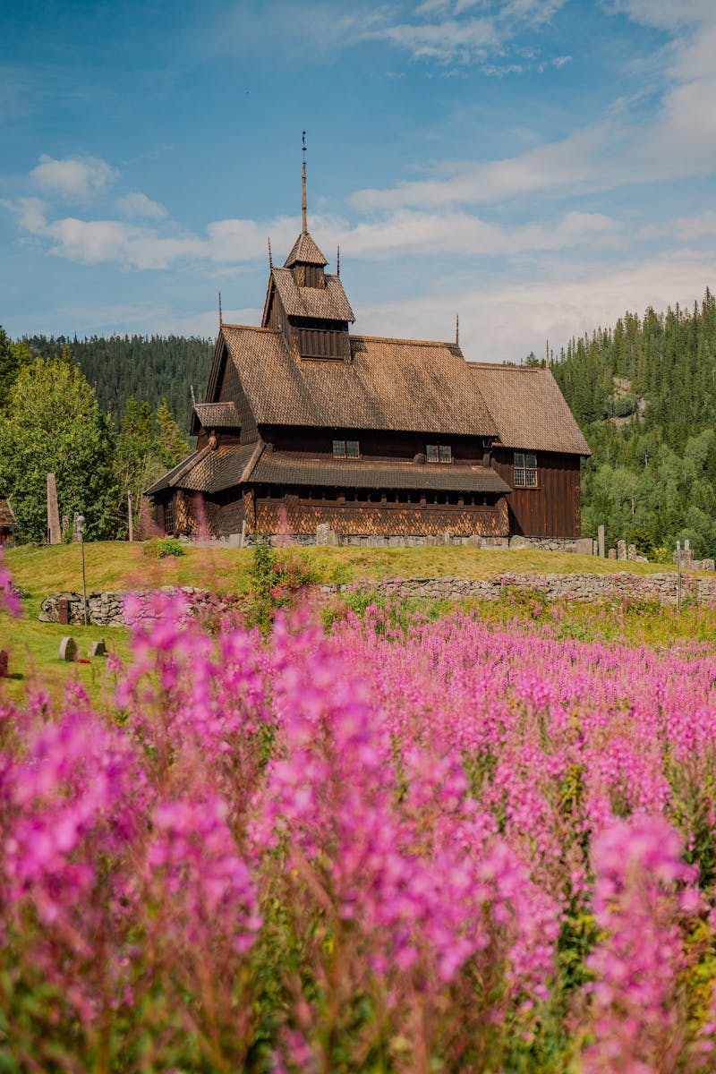 A stunning Norwegian stave church set amidst vibrant pink flowers under a blue sky.