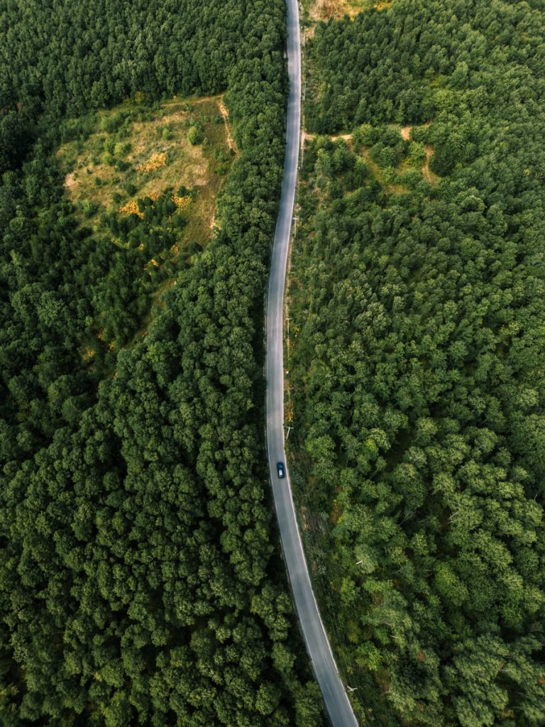 A road winds through a dense, green forest.